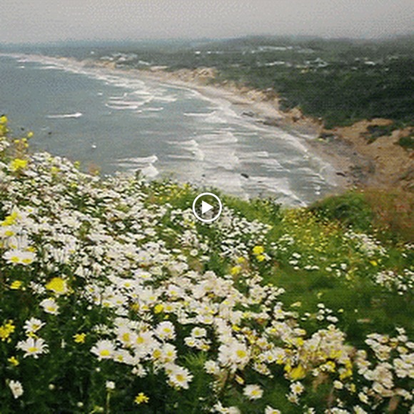 Meet your Posher, Demi - Picture 1 of 1